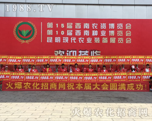 2018�����r�Y���[���������@1988.TV����