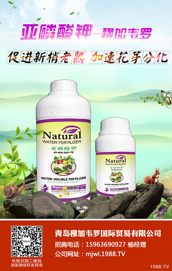 ���{ܛ��������Щ�Y����F(xi��n)������ΰl(f��)���������{ܛ�����A����ʩ