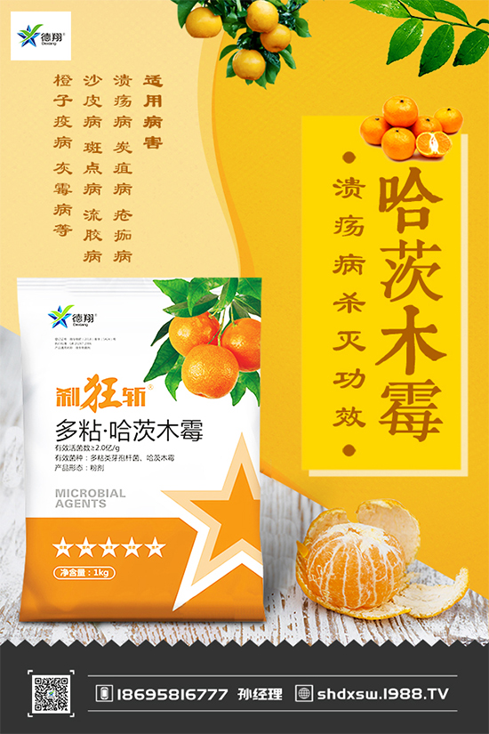 ���{(l��n)�ڰ߲�Σ���@ô��������ԓ��η��Σ������������