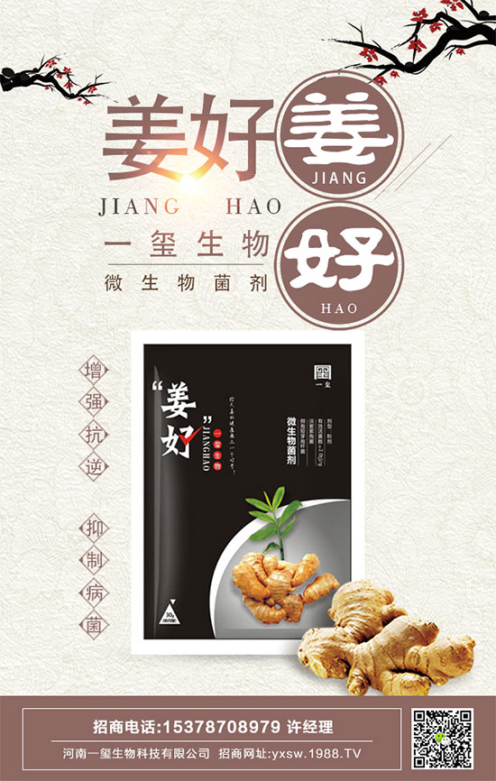 茄子的功效與作用,茄子的營養(yǎng)價(jià)值
