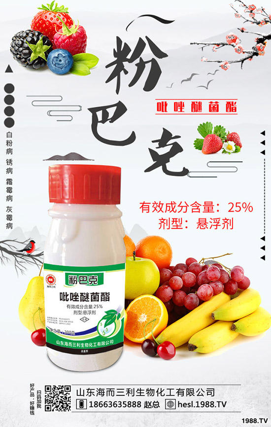 2020���J�S�Nֲǰ����ô�ӣ��J�S��ηNֲ��