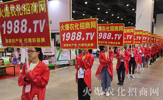 ǧ�̅R������Ʒ�Ƽ�|2019�����r(n��ng)����(hu��)ʢ���_Ļ��