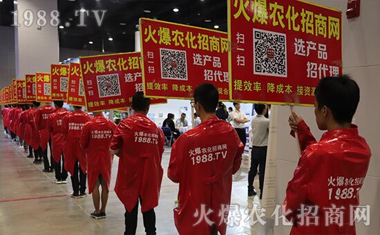 ǧ�̅R�ۣ���Ʒ�Ƽ�|2019�����r(n��ng)����(hu��)ʢ���_Ļ��