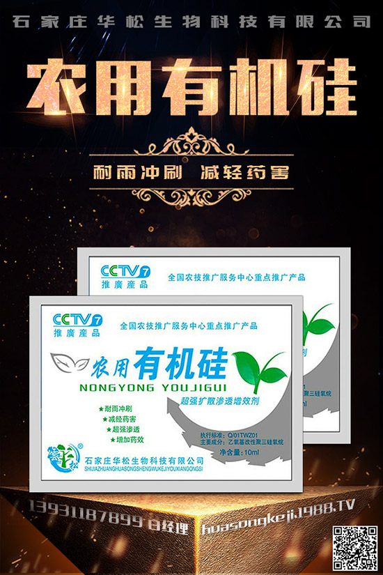 �۲˿��ĵ�ԭ����ʲô������A(y��)���۲˿�����