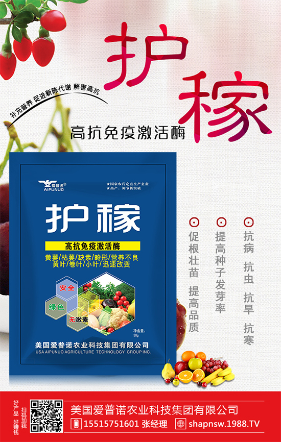 ɽ髵Ĺ�Ч�c��������ɽ���ʲô��̎��  