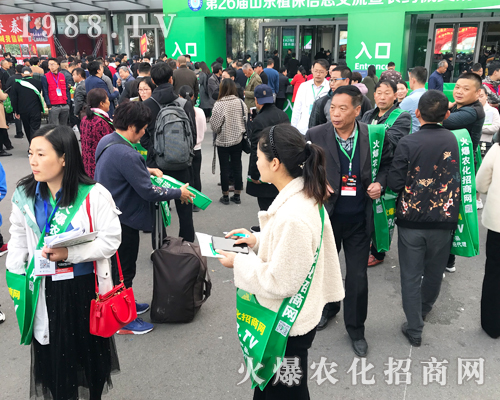     2019ɽ�|����ֲ���p�������r(n��ng)�����̾W(w��ng)��ٶ��w��