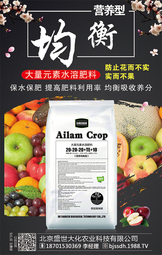 ���ӵĠI(y��ng)�B(y��ng)������t���ֵĹ�Ч�c���ã�