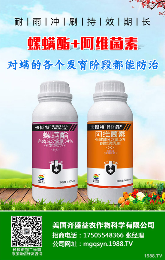 �����嚢�x���r(ji��)��