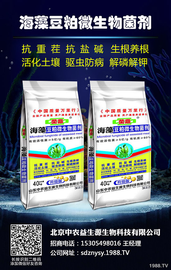 ע���ˣ�12���r(n��ng)�°���Ԕ��һ�[��ʮ���·Nֲ����ָ����