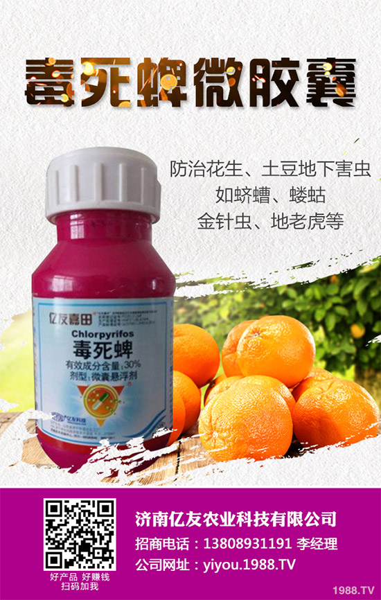     ���x(ch��ng)���r(n��ng)ˎ�r(ji��)��