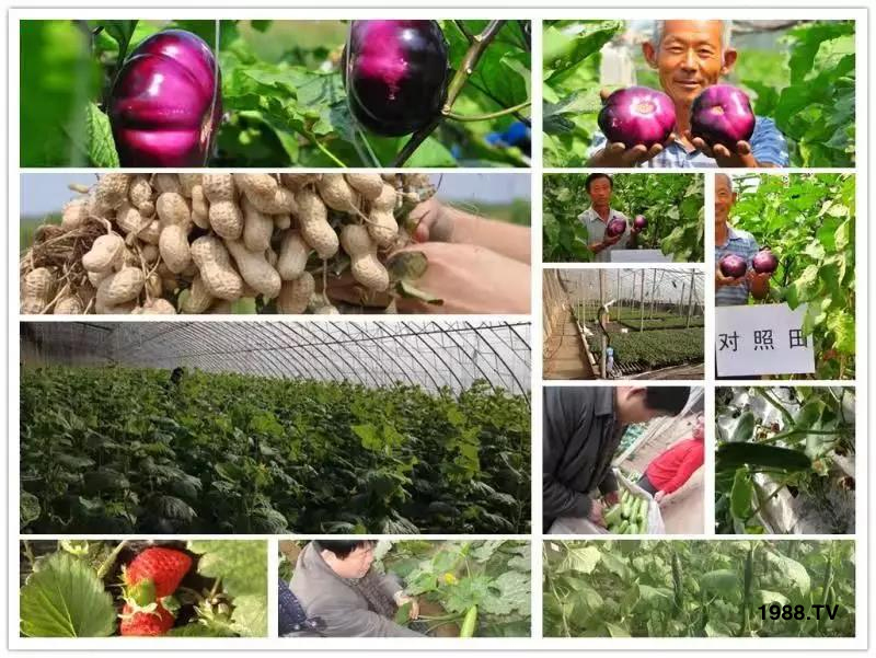 �VԴ�S����⛡�����Ʒ����1����=8���ЙC�����½�Դ�^ֱ�l(f��)������