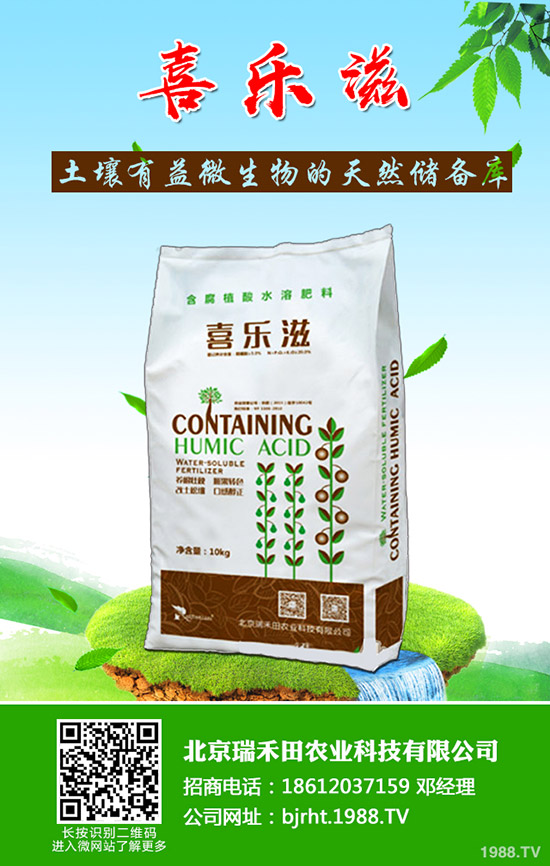 �����~Ƭ�l(f��)�S����ô�����������~Ƭ�l(f��)�S��ô������