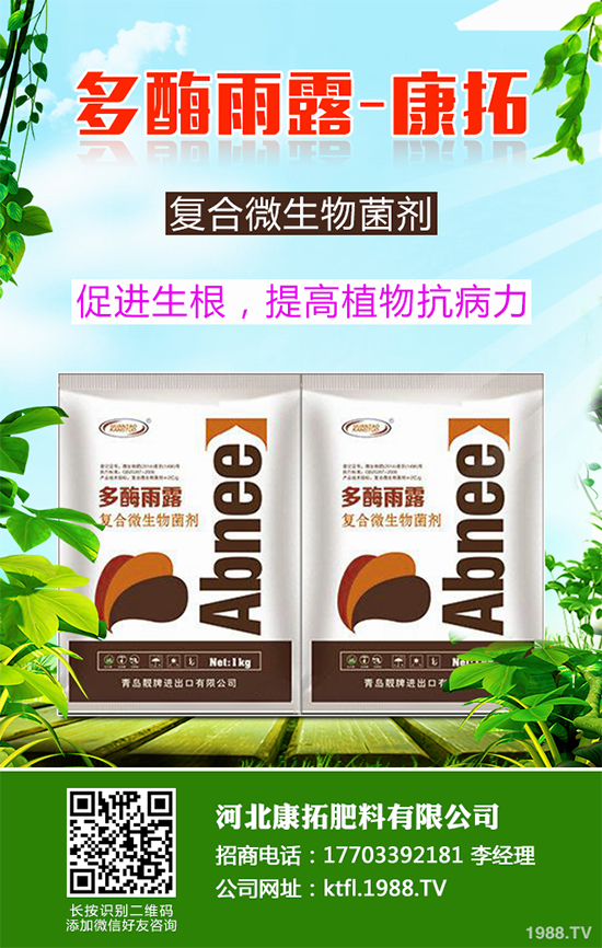 11�·��r(n��ng)�°�������Щ��2019�ﶬ�߲˷Nֲָ��