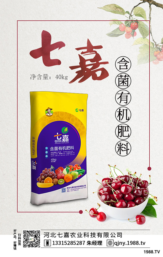 11�·��r(n��ng)�°�������Щ��2019�ﶬ�߲˷Nֲָ��