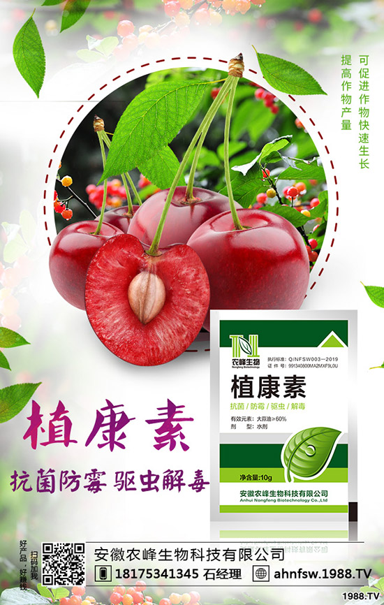 ��(d��ng)�w��ô�Nֲ����(d��ng)�w�NֲЧ�漰���༼�g(sh��)��