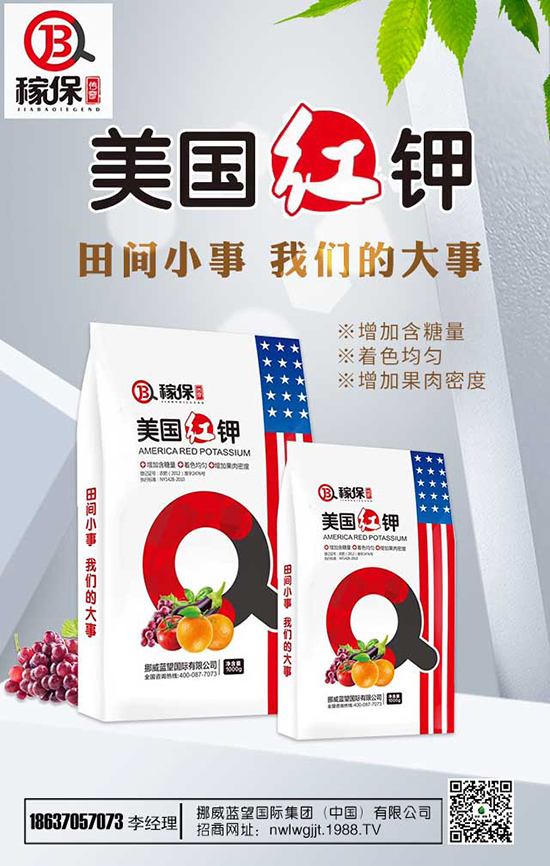 瑞香花養(yǎng)殖方法有哪些?瑞香花養(yǎng)殖注意事項(xiàng)!