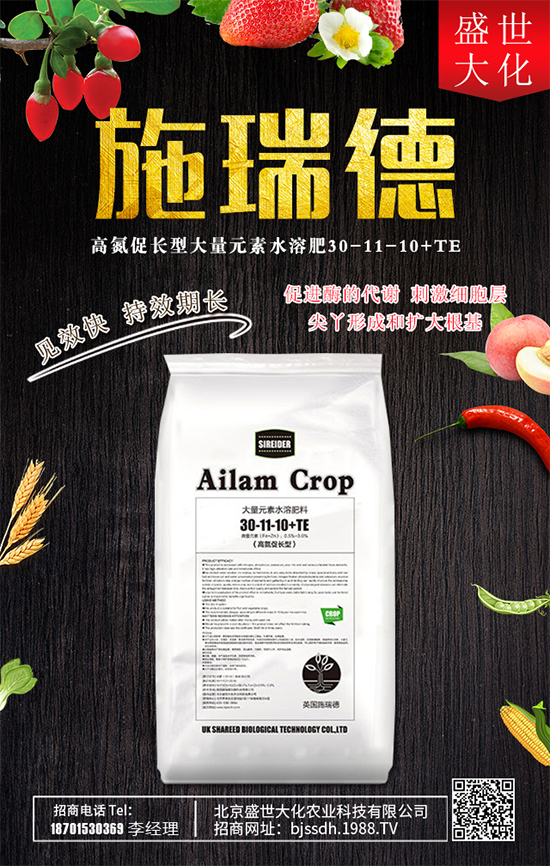 ʯ����ʲô�I(y��ng)�B(y��ng)�r(ji��)ֵ��ʯ������Щʳ�ù�Ч��