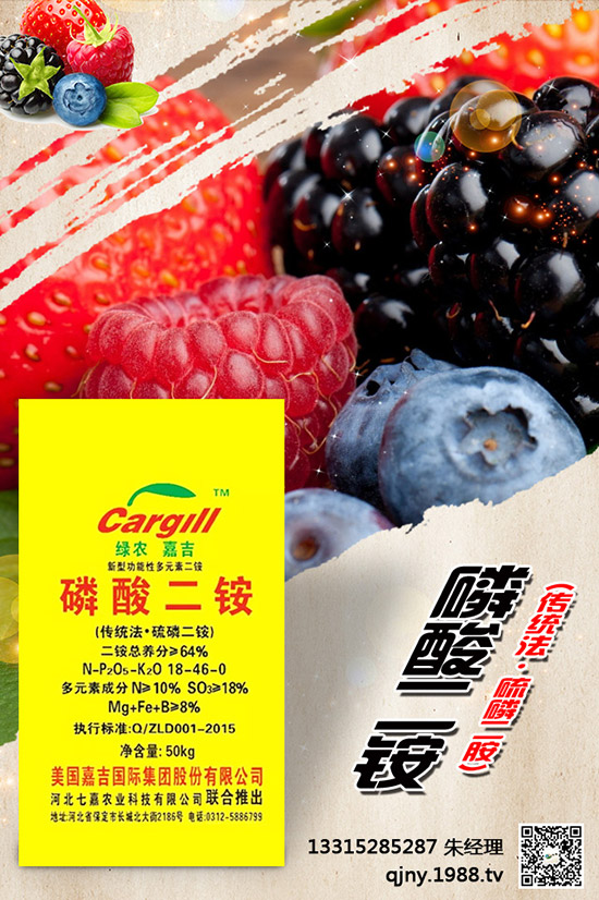 С����ʲô����(ji��)���N������Щ�Nֲ������