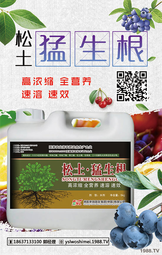 ��������Щ��Ч�����������ӵ�ʳ�ý��ɣ�