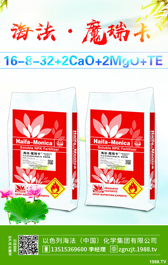     ����������D(zhu��n)��2019��11��27�ո��؅^(q��)�����������S��(b��o)�r(ji��)