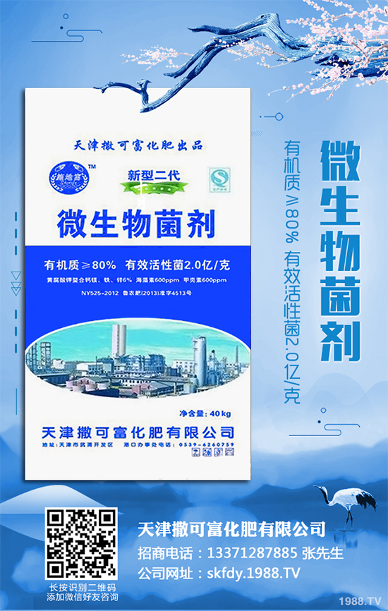 ��Ƥ�����Ժ���S��զ������ԓ��ô��Q�����������