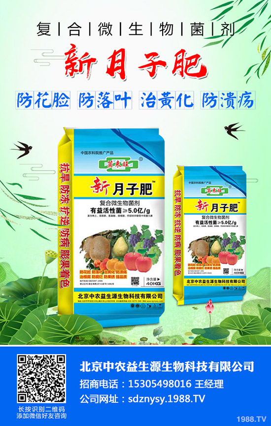 紅棗迎來的上市期!2019年度紅棗價格行情走勢及供需情況!