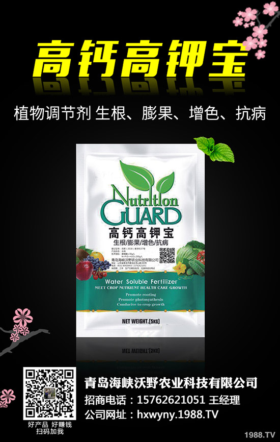 С�����s��ʲô�r����θ��ѣ�С���s�ݽ�Q������