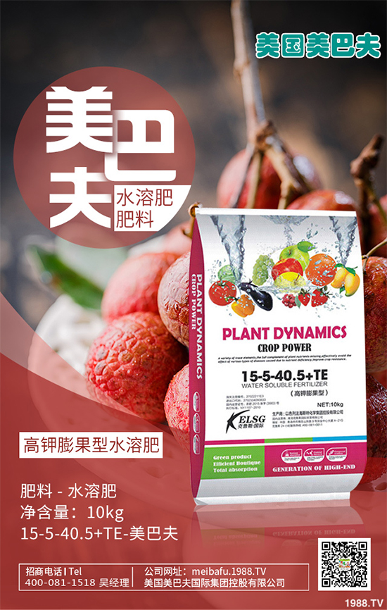 芽苗菜種植前景如何?芽苗菜的種植方法!