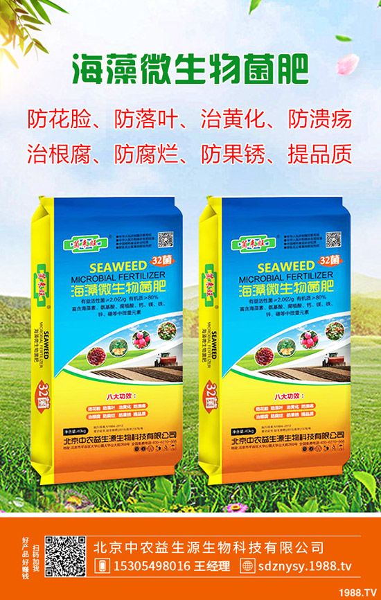 2020年春節(jié)鮮姜價(jià)格預(yù)計(jì)“暴漲”!多少錢一斤?生姜漲價(jià)原因分析!