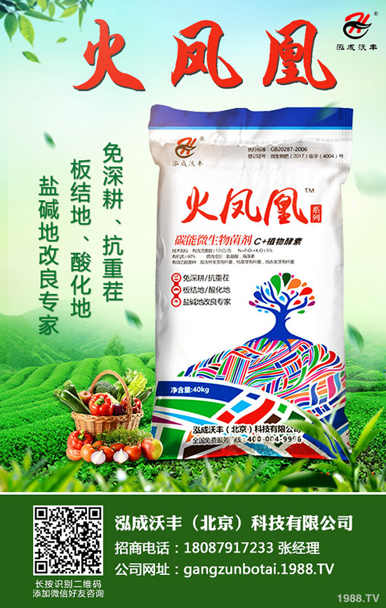     2020��Nֲ����ٍ�X(qi��n)ô��ǰ��������һ������Ͷ�Y��Ч�������