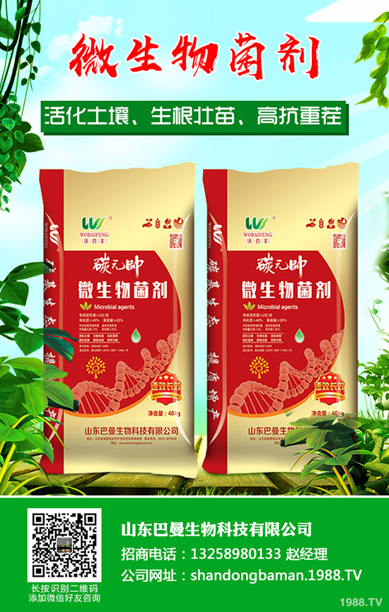     2020�괺��ʲô�r�g�Nֲ�������N�����Xһ�������N�xُ������