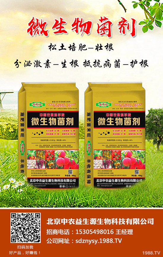 2020年春節(jié)將至蓮藕價格行情怎樣?種植蓮藕還有前景!效益怎樣?