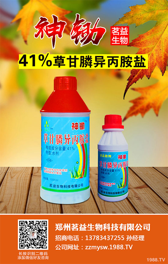 ����(n��i)��Ч�w���݄�L-���@좺ϳɼ��g(sh��)ȡ�óɹ�