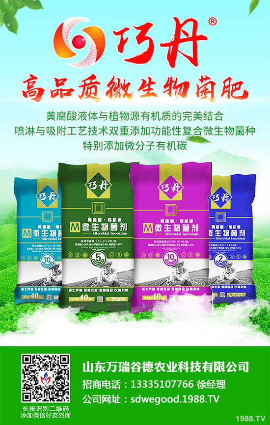 ؕ������Щ���湦Ч��ؕ�ջ��Ĺ�Ч�����c����