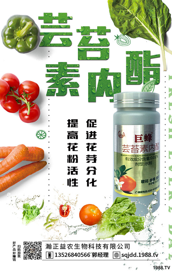 �����߲˲ɹ��ʵ�Σ���������ߴ����߲˲ɹ�����