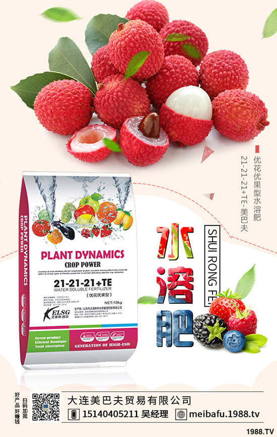 2019-12-19���@�r(ji��)�����f�Ӹ߲��£����؅^(q��)���@���������