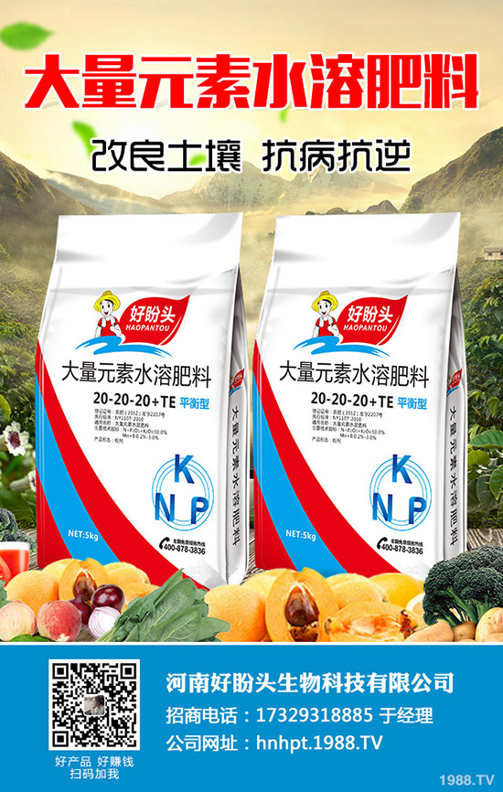 С������ĺ�̎����Щ��С������ע��Ҫ�c(di��n)��