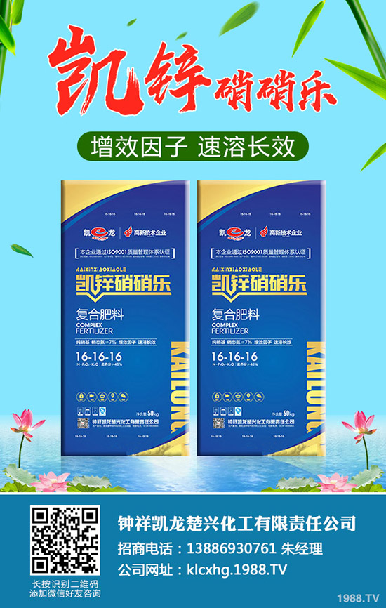 草莓肥害是什么原因，如何避免草莓肥害的發(fā)生？