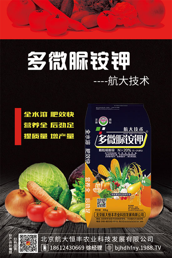 2019��12��31������⛷��Ј��r(ji��)������һ�[