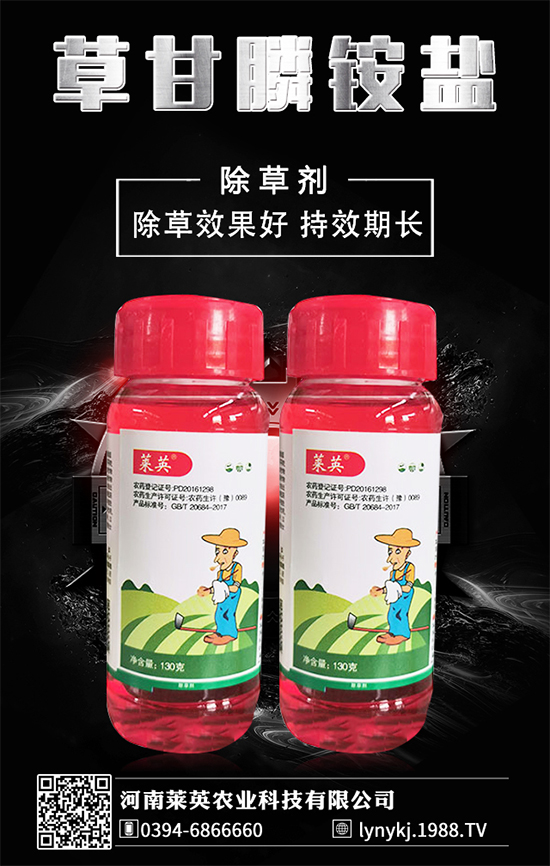 橙子價格如何?貴么?2020種植橙子賺錢么?種植前景怎么樣?