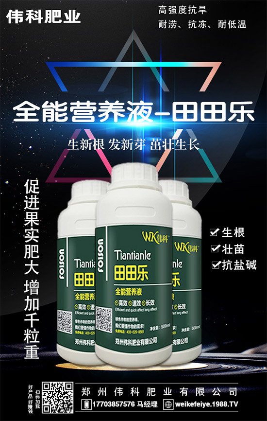     ���ӵĠI�B(y��ng)�rֵ����Щ����Ч�c��������Щ��������Щ��Ⱥʳ����