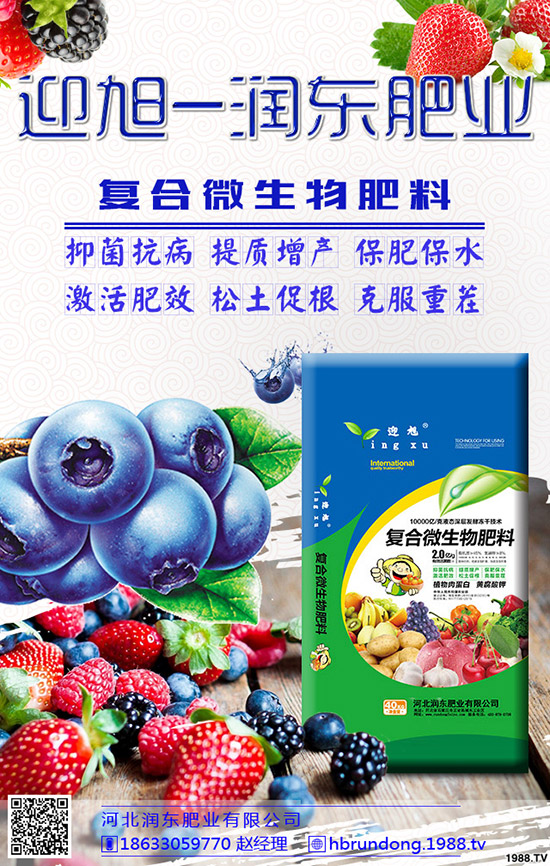 ���@��ʲô���݄��������@������ô�x����݄���