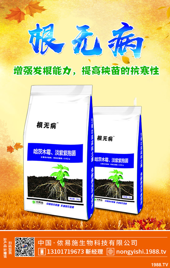 �ڗ��ķNֲҪ�c����Щ���ڗ������g����