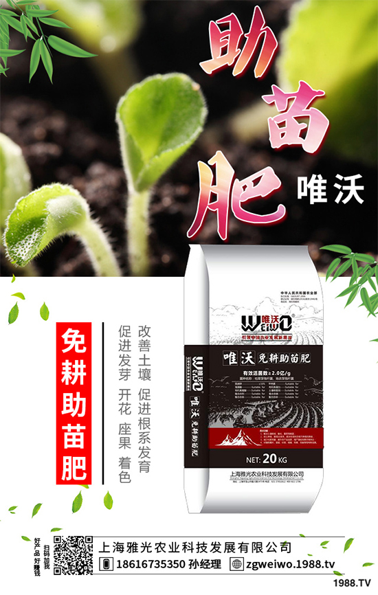     ɽˎʲô�r(sh��)�������ɽˎ���A�ط�������Щ��