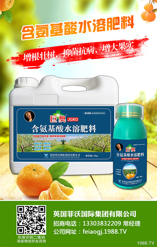 我國南方該怎樣種植藍莓?藍莓高產(chǎn)種植技術(shù)要點