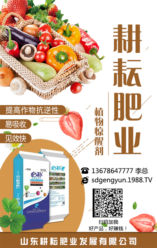 ���؃r(ji��)����m(x��)�»������վֲ��^(q��)�������Ј�����2019��8��13��