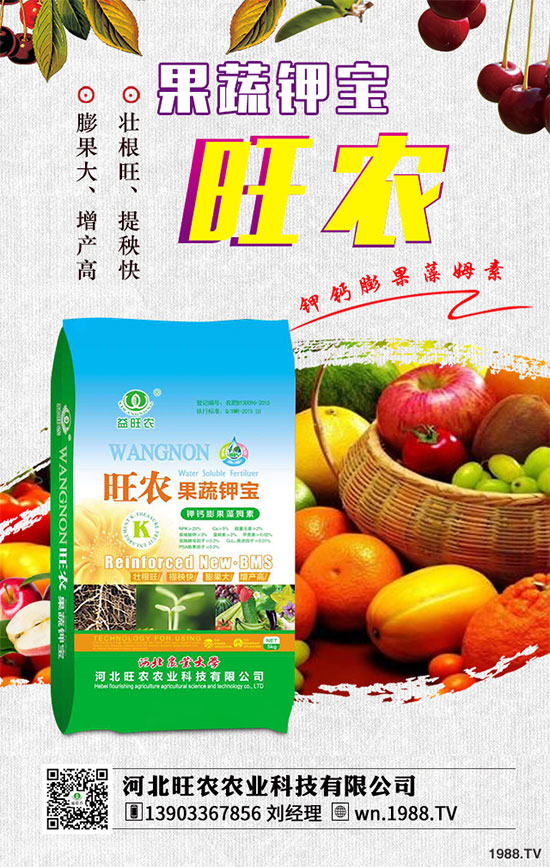 ��������ķNֲ�r(sh��)�g������������������Ҫ�c(di��n)����Щ��