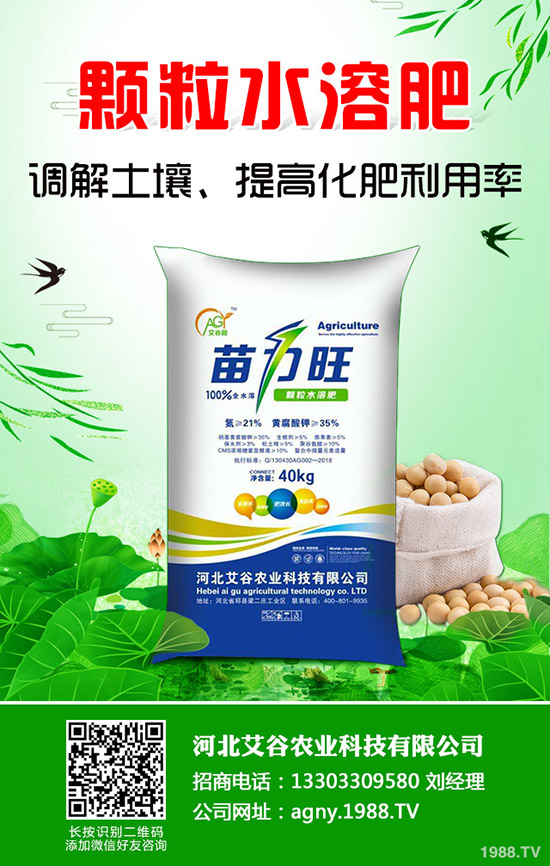     2019��8�µ����܇�(gu��)��(n��i)һ�@�Ј�(ch��ng)�r(ji��)�������߄�(sh��)�����܈�(b��o)