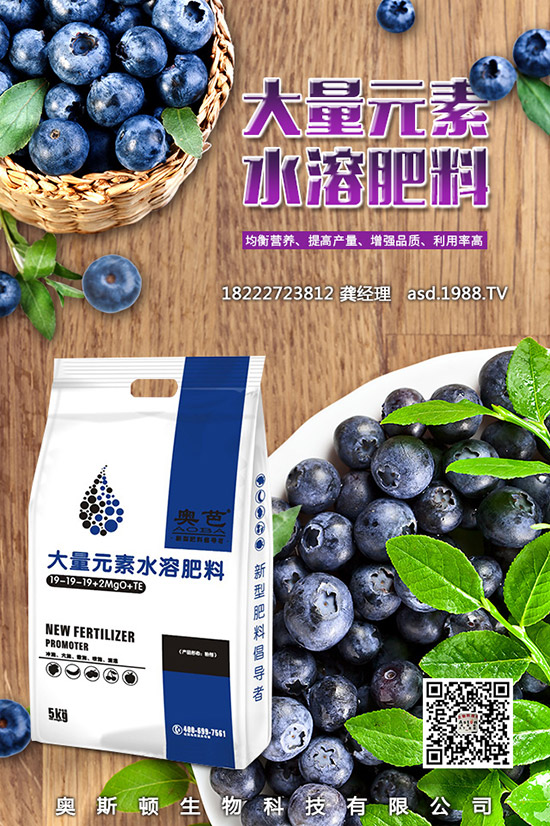 �t���Ĺ�Ч�c��������Щ����Щ�˲��m�ϳԼt����