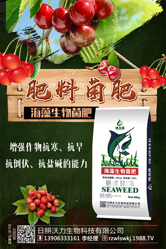 ����Ҫ��Ҫ��������ǵĴ�ⷽ������Щ��